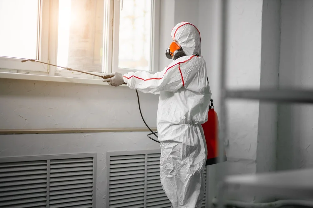 Professional mold remediation services in Portland, CT